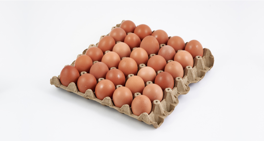 Huevos AA